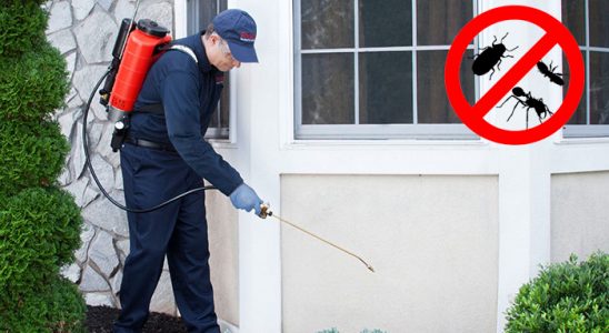 Güdül Kemirgen İlaçlama böcek ilaçlama ve haşere kontrolü — ilaclama-tr.com